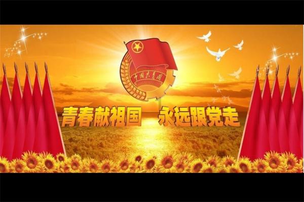 西红柿叶子太茂盛了怎么办?西红柿开花结果期怎么施肥和管理?论坛 - 注重用户体验的红迪网平台
